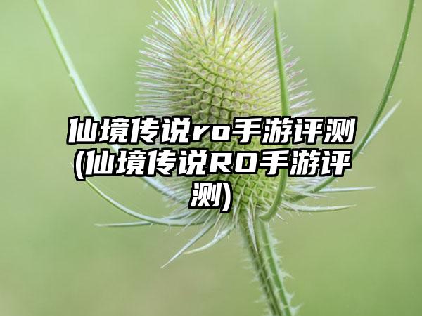 仙境传说ro手游评测(仙境传说RO手游评测)