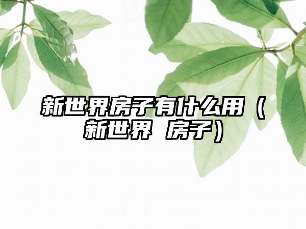 新世界房子有什么用（新世界 房子）