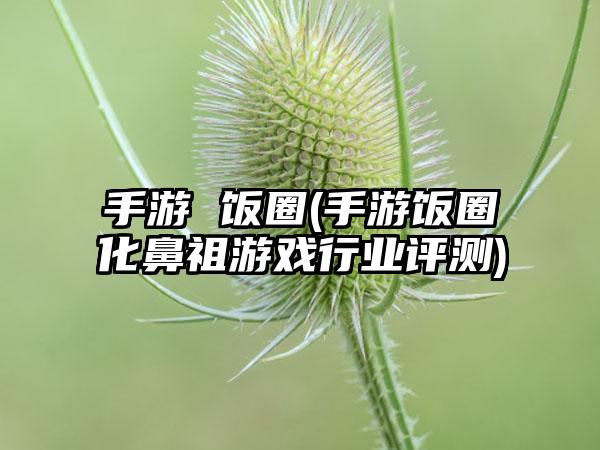 手游 饭圈(手游饭圈化鼻祖游戏行业评测)