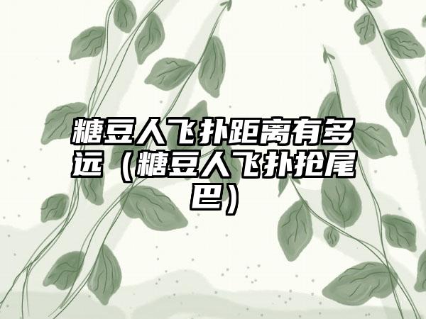 糖豆人飞扑距离有多远（糖豆人飞扑抢尾巴）