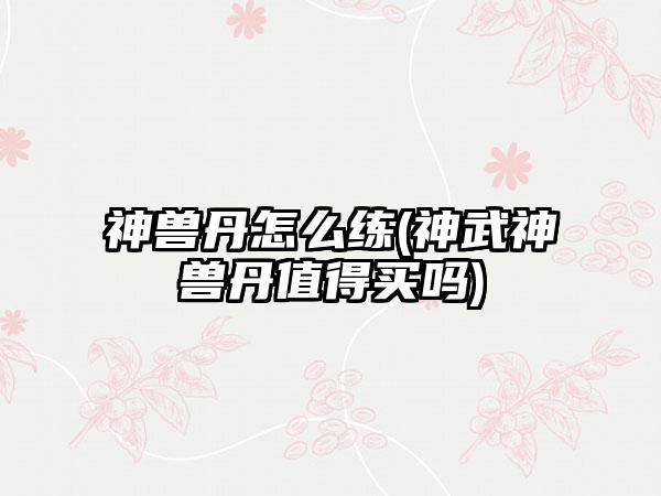 神兽丹怎么练(神武神兽丹值得买吗)