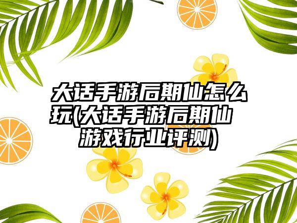 大话手游后期仙怎么玩(大话手游后期仙 游戏行业评测)