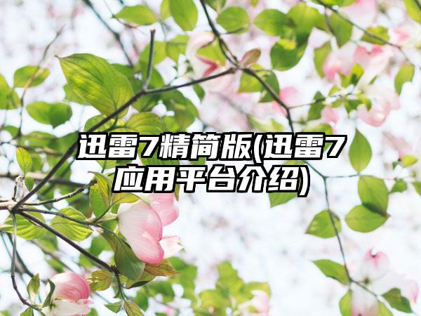 迅雷7精简版(迅雷7应用平台介绍)