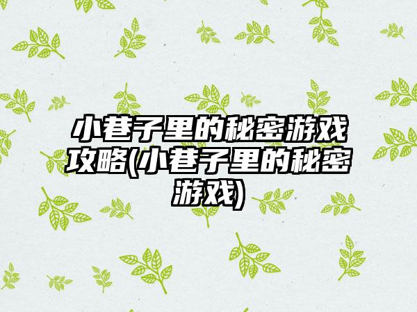 小巷子里的秘密游戏攻略(小巷子里的秘密游戏)