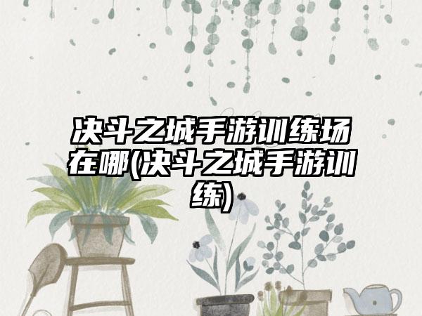 决斗之城手游训练场在哪(决斗之城手游训练)