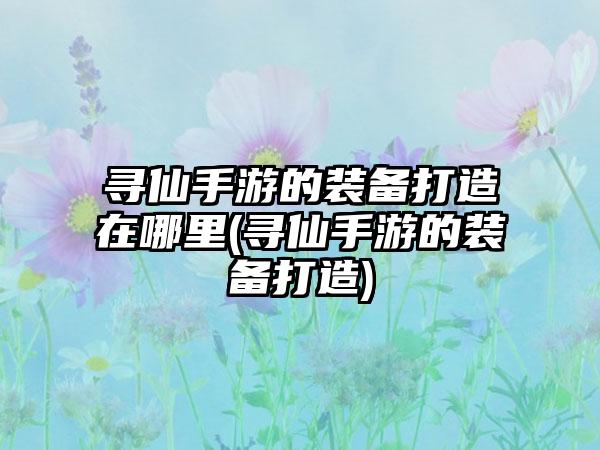 寻仙手游的装备打造在哪里(寻仙手游的装备打造)