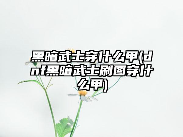 黑暗武士穿什么甲(dnf黑暗武士刷图穿什么甲)