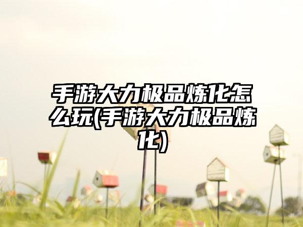 手游大力极品炼化怎么玩(手游大力极品炼化)