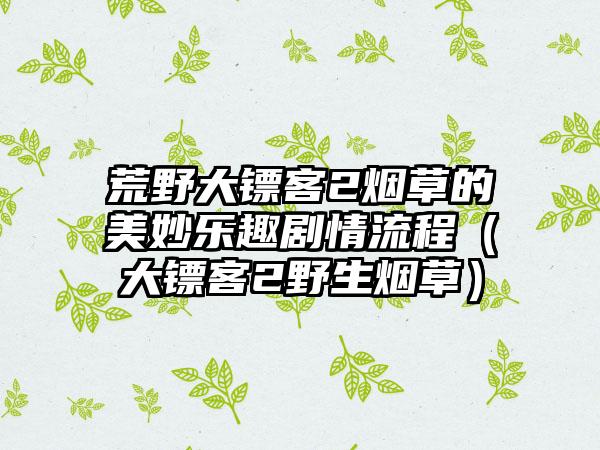 荒野大镖客2烟草的美妙乐趣剧情流程（大镖客2野生烟草）