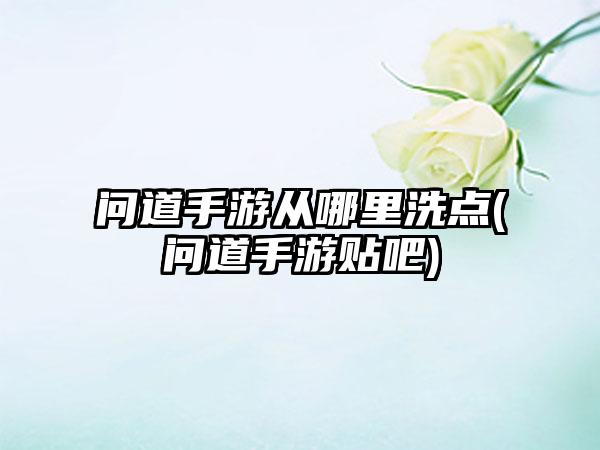 问道手游从哪里洗点(问道手游贴吧)