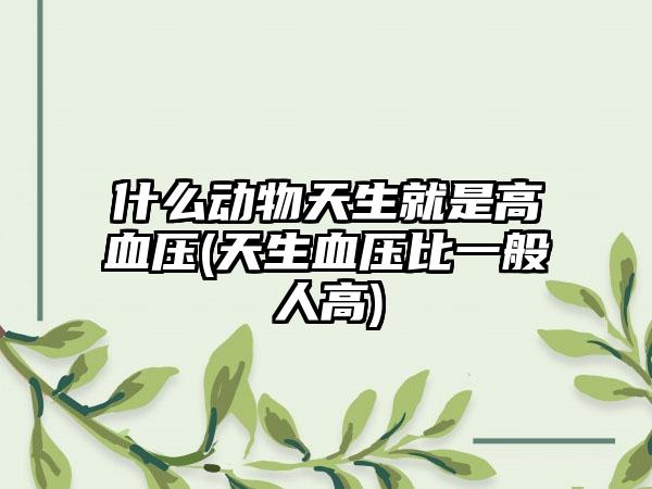 什么动物天生就是高血压(天生血压比一般人高)