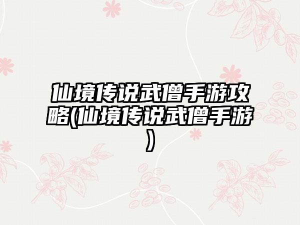 仙境传说武僧手游攻略(仙境传说武僧手游)