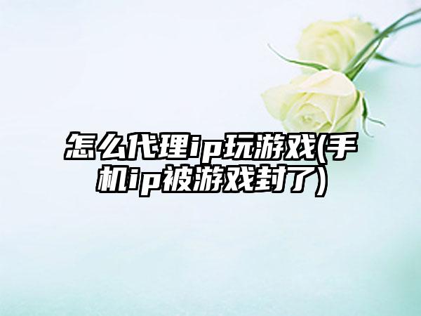 怎么代理ip玩游戏(手机ip被游戏封了)