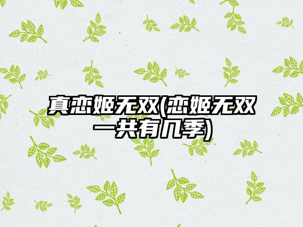 真恋姬无双(恋姬无双一共有几季)