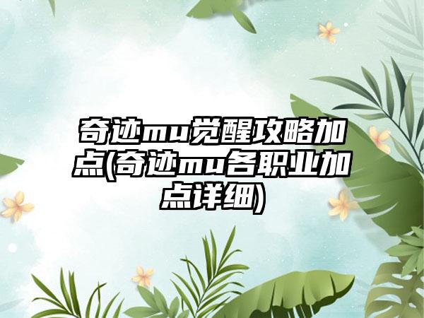 奇迹mu觉醒攻略加点(奇迹mu各职业加点详细)