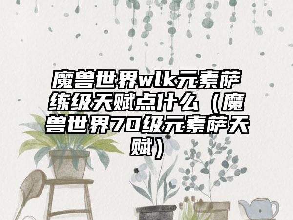 魔兽世界wlk元素萨练级天赋点什么（魔兽世界70级元素萨天赋）