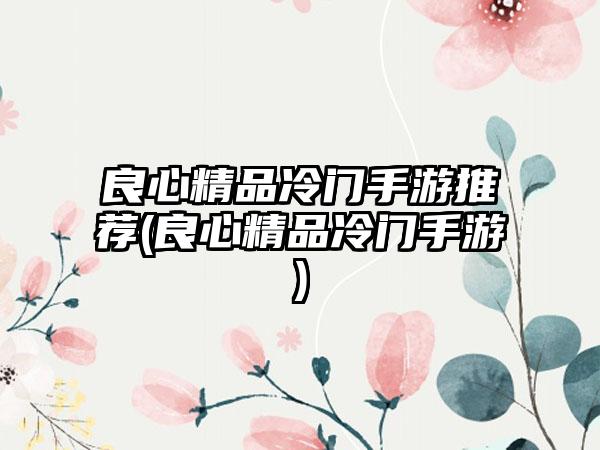 良心精品冷门手游推荐(良心精品冷门手游)