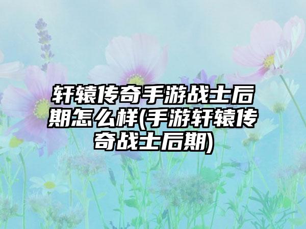 轩辕传奇手游战士后期怎么样(手游轩辕传奇战士后期)