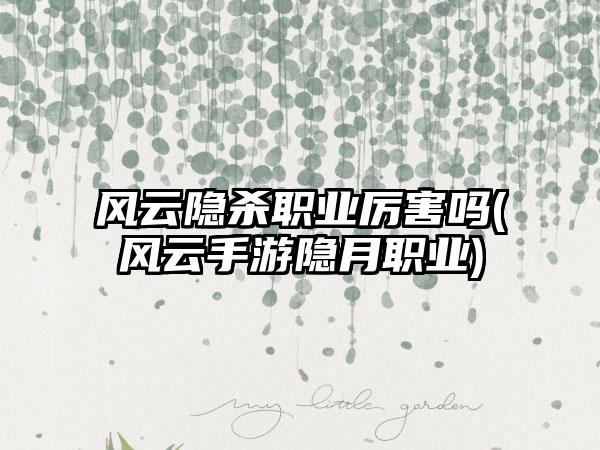 风云隐杀职业厉害吗(风云手游隐月职业)