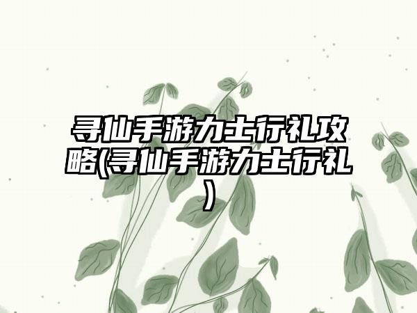 寻仙手游力士行礼攻略(寻仙手游力士行礼)