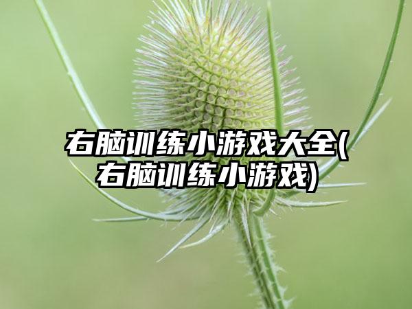 右脑训练小游戏大全(右脑训练小游戏)