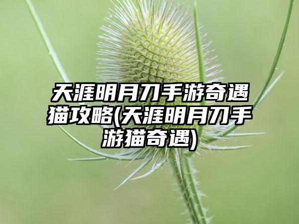 天涯明月刀手游奇遇猫攻略(天涯明月刀手游猫奇遇)