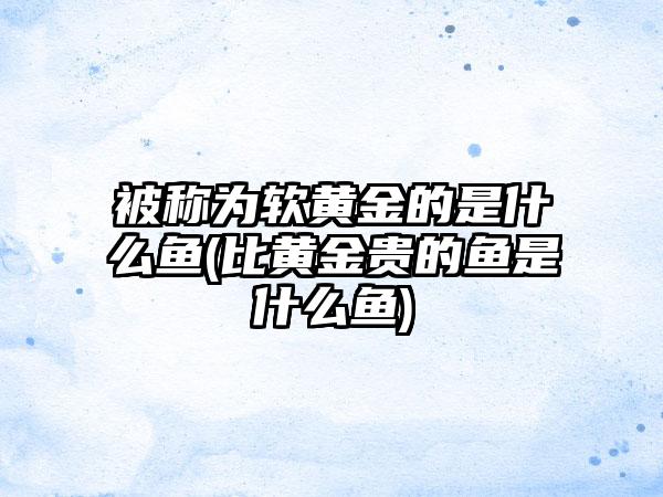 被称为软黄金的是什么鱼(比黄金贵的鱼是什么鱼)