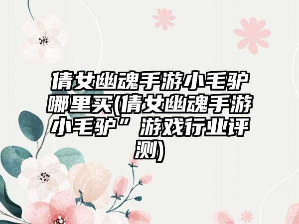 倩女幽魂手游小毛驴哪里买(倩女幽魂手游小毛驴”游戏行业评测)