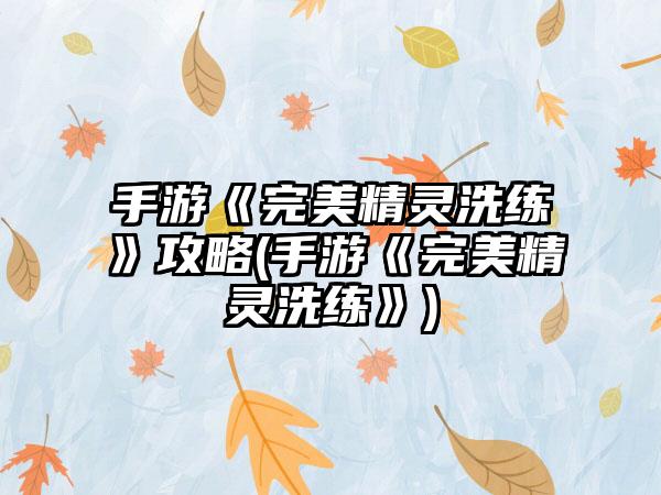 手游《完美精灵洗练》攻略(手游《完美精灵洗练》)