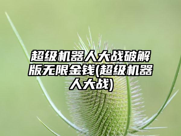 超级机器人大战破解版无限金钱(超级机器人大战)
