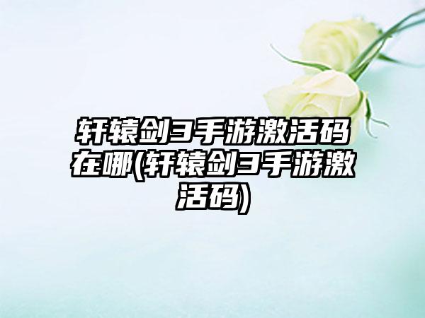 轩辕剑3手游激活码在哪(轩辕剑3手游激活码)