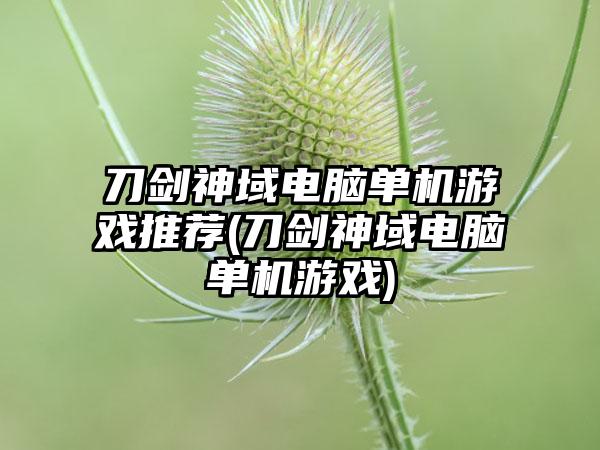 刀剑神域电脑单机游戏推荐(刀剑神域电脑单机游戏)