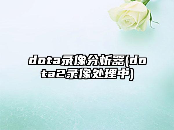 dota录像分析器(dota2录像处理中)