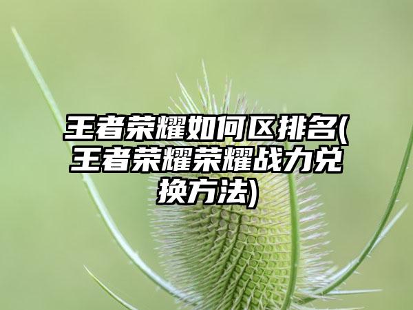 王者荣耀如何区排名(王者荣耀荣耀战力兑换方法)