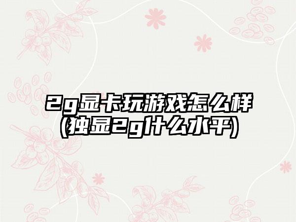 2g显卡玩游戏怎么样(独显2g什么水平)