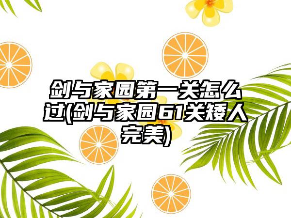 剑与家园第一关怎么过(剑与家园61关矮人完美)