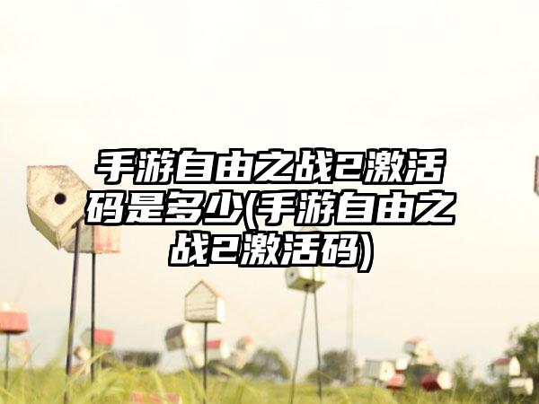 手游自由之战2激活码是多少(手游自由之战2激活码)