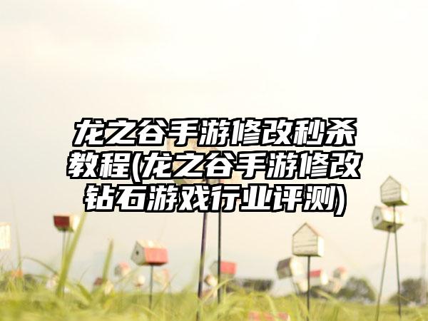 龙之谷手游修改秒杀教程(龙之谷手游修改钻石游戏行业评测)