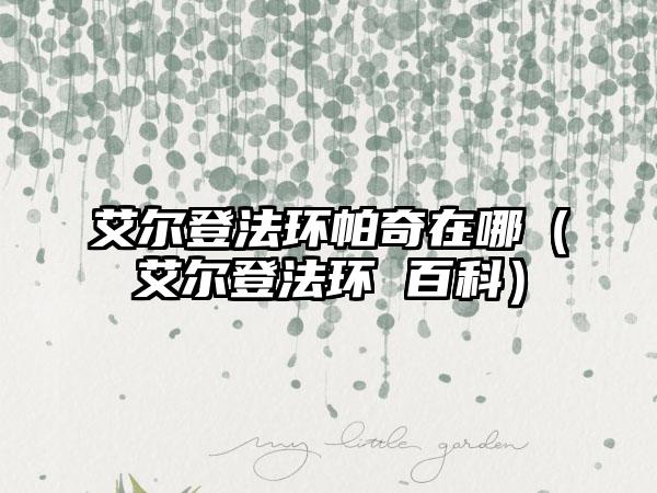 艾尔登法环帕奇在哪（艾尔登法环 百科）