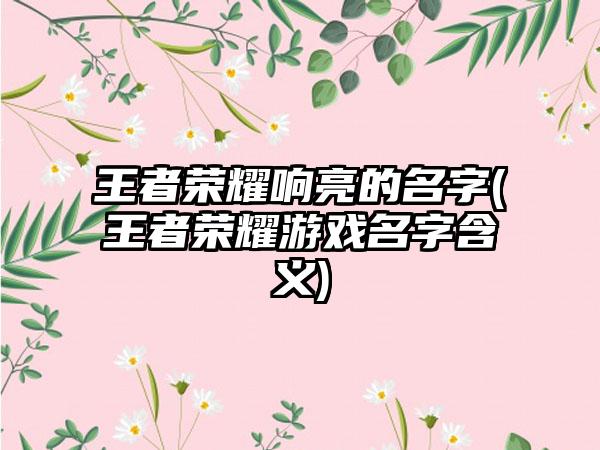 王者荣耀响亮的名字(王者荣耀游戏名字含义)