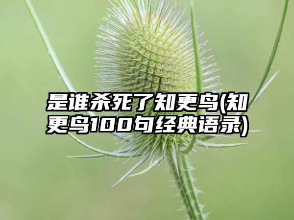 是谁杀死了知更鸟(知更鸟100句经典语录)