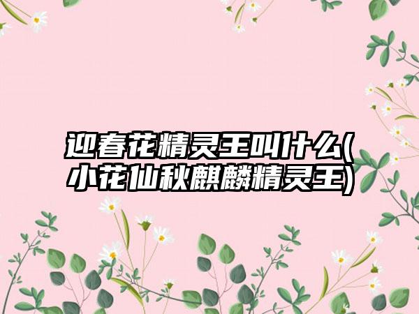 迎春花精灵王叫什么(小花仙秋麒麟精灵王)