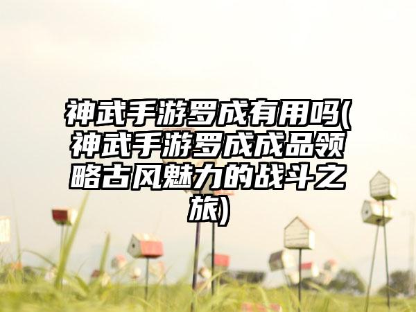 神武手游罗成有用吗(神武手游罗成成品领略古风魅力的战斗之旅)