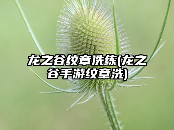龙之谷纹章洗练(龙之谷手游纹章洗)