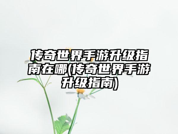 传奇世界手游升级指南在哪(传奇世界手游升级指南)