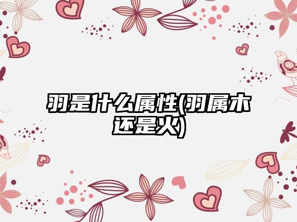 羽是什么属性(羽属木还是火)