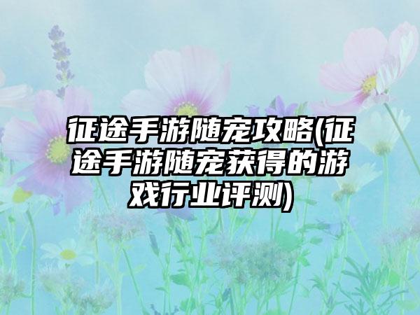 征途手游随宠攻略(征途手游随宠获得的游戏行业评测)