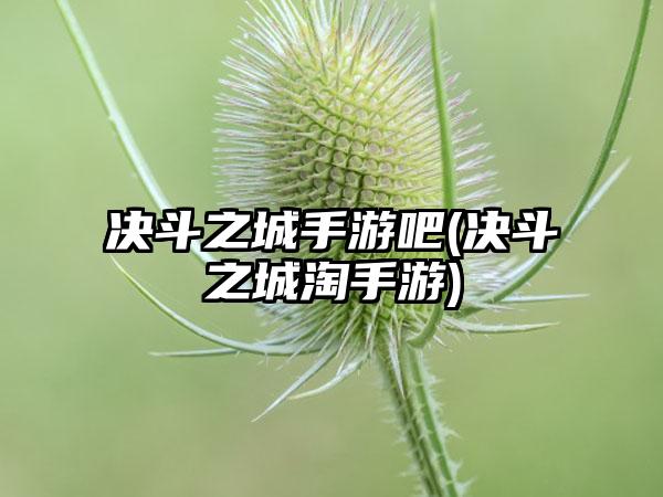 决斗之城手游吧(决斗之城淘手游)