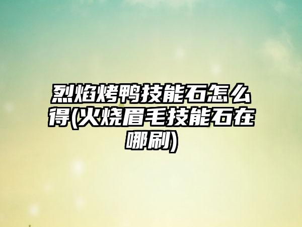 烈焰烤鸭技能石怎么得(火烧眉毛技能石在哪刷)
