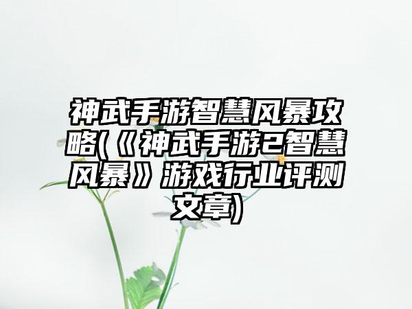 神武手游智慧风暴攻略(《神武手游2智慧风暴》游戏行业评测文章)